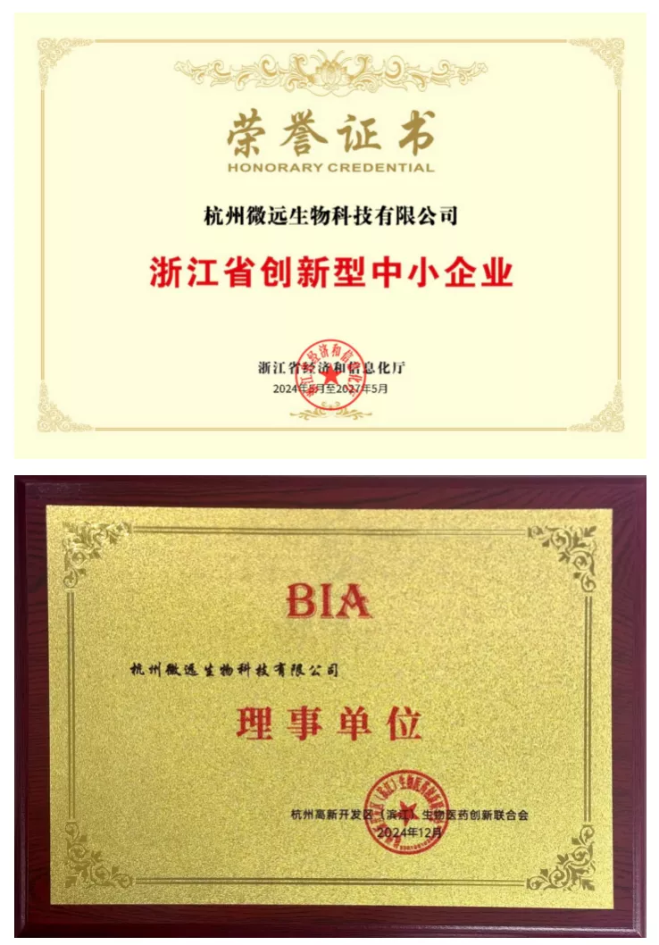 Innovative small and medium-sized enterprises and governing units
